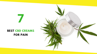 7 Best CBD Creams For Pain: CBD Cream Buyers Guide