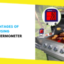 Advantages of Using Meat Thermometer