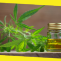 Top 3 Benefits of CBD Oil