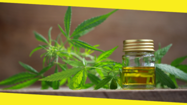 Top 3 Benefits of CBD Oil