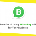 Benefits of Using WhatsApp API for Your Business