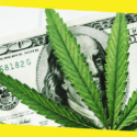 Best Affiliate Network for Cannabis for Online Passive Income!!