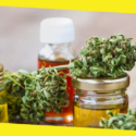 10 Cannabis Products On the Rise in 2019