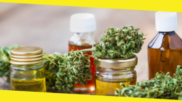 10 Cannabis Products On the Rise in 2019