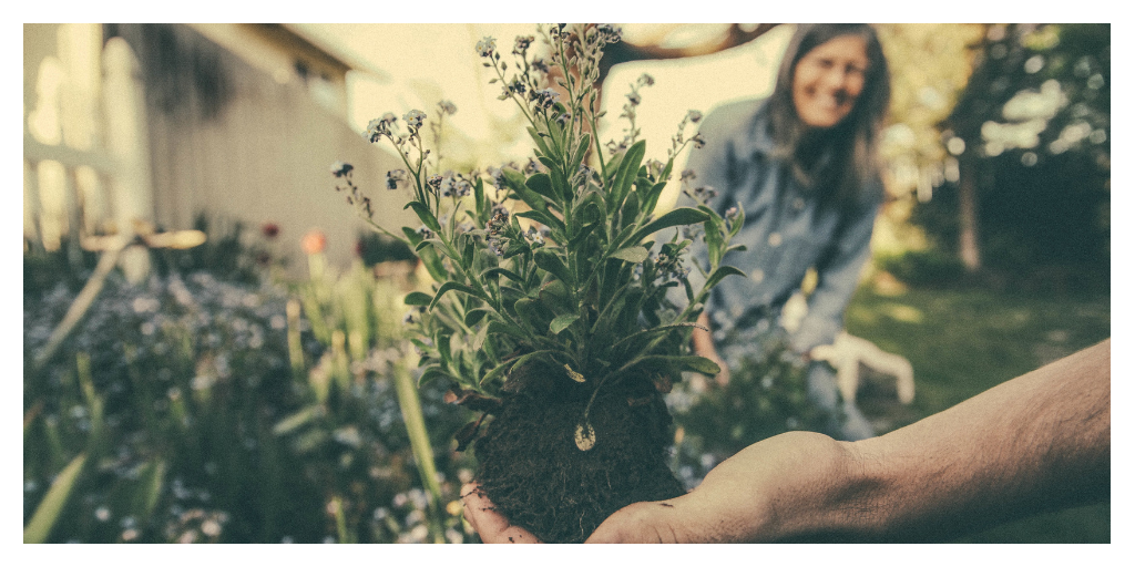 Backyard Gardening Hacks 