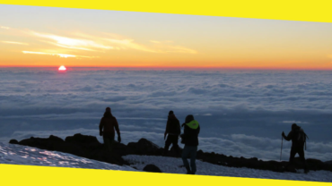 Guide To Choose Climbing Kilimanjaro Tour