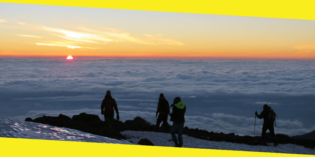 Kilimanjaro Tour Guide