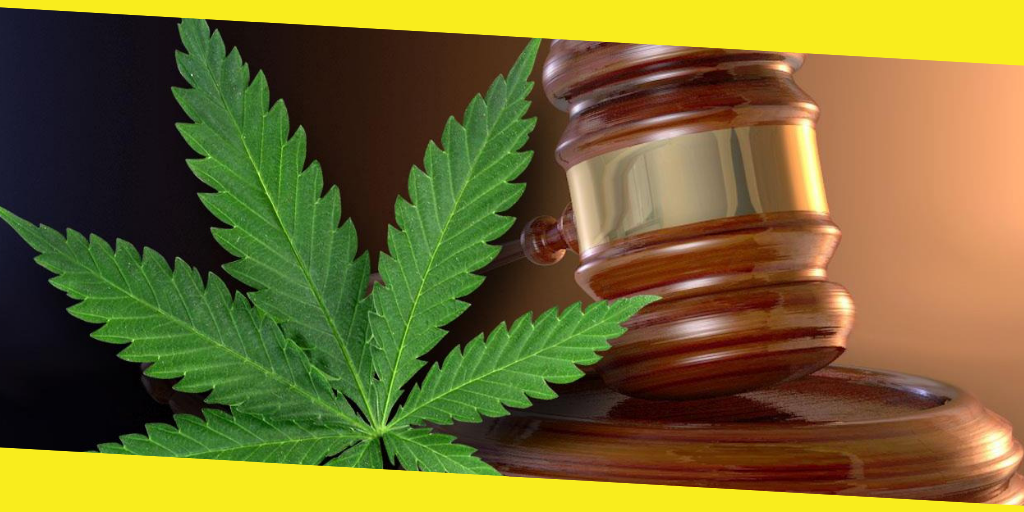 Marijuana Laws 