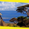 Where to Stay on a Tanzanian Safari