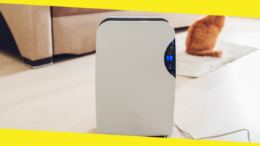 Take a Deep Breath: The Amazing Air Purifier Benefits You Should Know