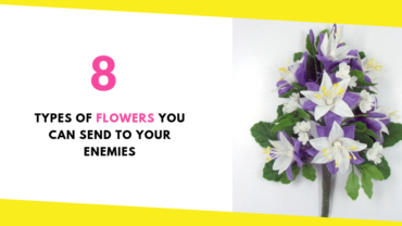 8 Types of Flowers You Can Send to Your Enemies