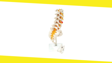 How to Maintain a Healthy Lumbar Spine