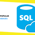 The Most Popular SQL Databases