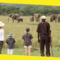 Top Tips To Plan A Memorable Safari In Kenya