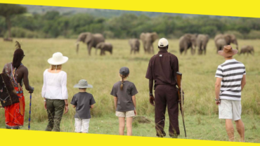 Top Tips To Plan A Memorable Safari In Kenya