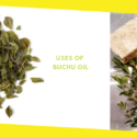 What Is Buchu Oil Used For?
