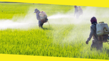 7 Common Types of Pesticides to Avoid at All Costs