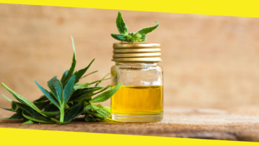 12 Amazing Facts About CBD Oil That’ll Keep You Up at Night