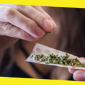 Top Tips For First Time Marijuana Users 