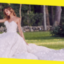 Top Five Bridal Trends for Summer