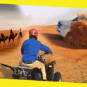 Desert Safari Tour in Dubai