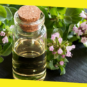 Top 10 Health Benefits of Oregano Oil That Make You Healthier and More Beautiful