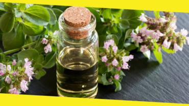 Top 10 Health Benefits of Oregano Oil That Make You Healthier and More Beautiful