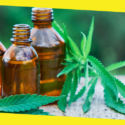Why Has CBD Become So Popular?
