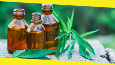 Why Has CBD Become So Popular?