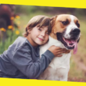 Importance of Child Safety Around Dogs
