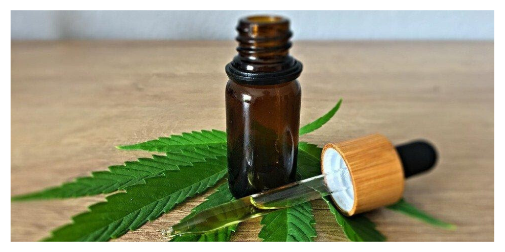 Choosing Between CBD Tinctures and Oil