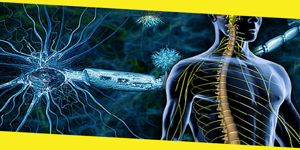 Symptoms of Multiple Sclerosis