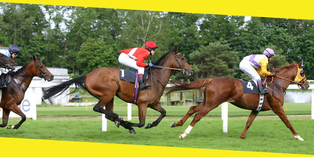 Why Go to a Horse Race