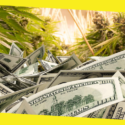 Cannabis Business Loans: What Questions Should You Ask Before Applying?