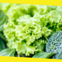 Why is Folate Important?