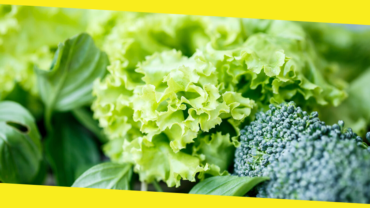 Why is Folate Important?