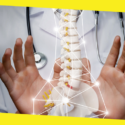 Career Options When You Gain A Degree In Chiropractic