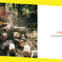 Chainsaw Accessories and Tools – A Complete List