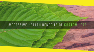 5 Impressive Health Benefits of Kratom Leaf