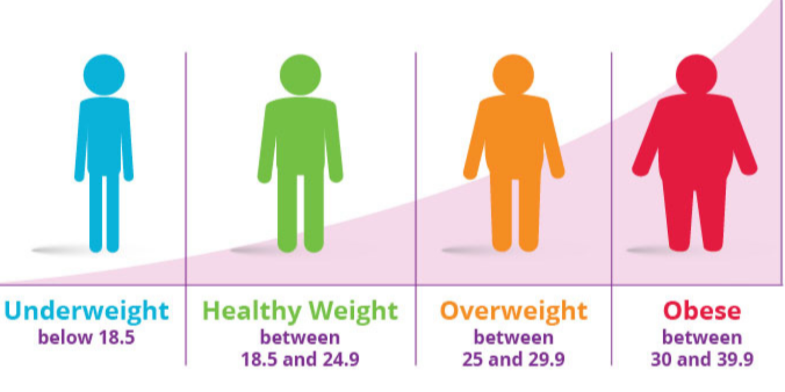 Leptin Obesity