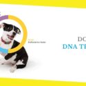 Everything You Need to Know About Dog DNA Testing