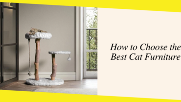 How to Choose the Best Cat Furniture?