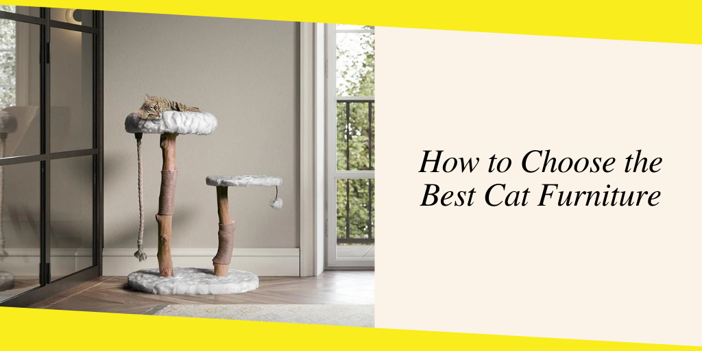 Tips to Choose the Best Cat Furniture
