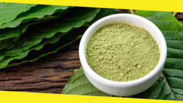 Best Kratom Strains For Different Health Issues