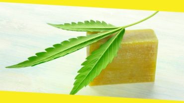 2 Popular Hemp Products That Are Not CBD Oil