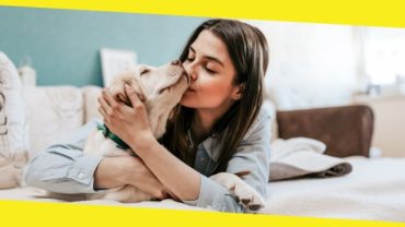 Keeping Your Dog Happy and Healthy Indoors
