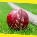 What You Need to Know to Make Money with Cricket Betting