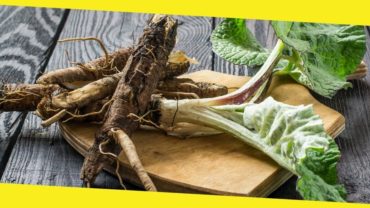 High Alkaline Herbs to Turbocharge Your Health and Diet