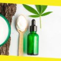 CBD Creams: Key Facts About Creams, Salves and Gels