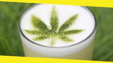 Most Common Reasons People Use CBD-Infused Drinks